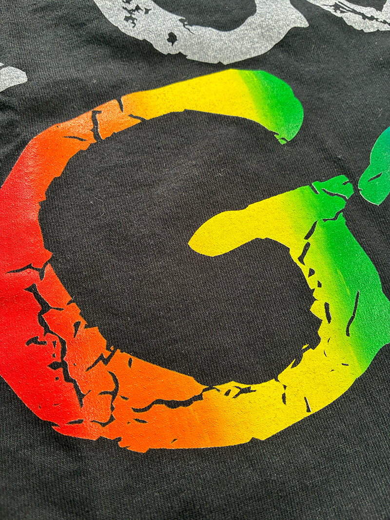 I Got Gay in Salem T-Shirt